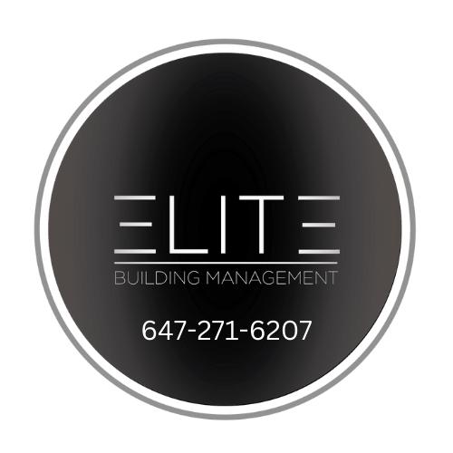 Luxury Bathroom Design, Bathroom Repair & Renovation Contractor in Hamilton - Elite Building and Construction